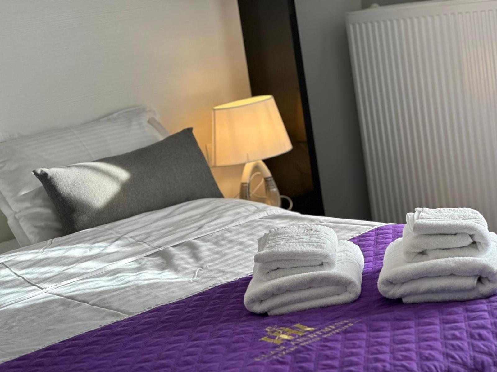 Luxury Glam Apartments & Studios Near Coresi Mall 布拉索夫 外观 照片