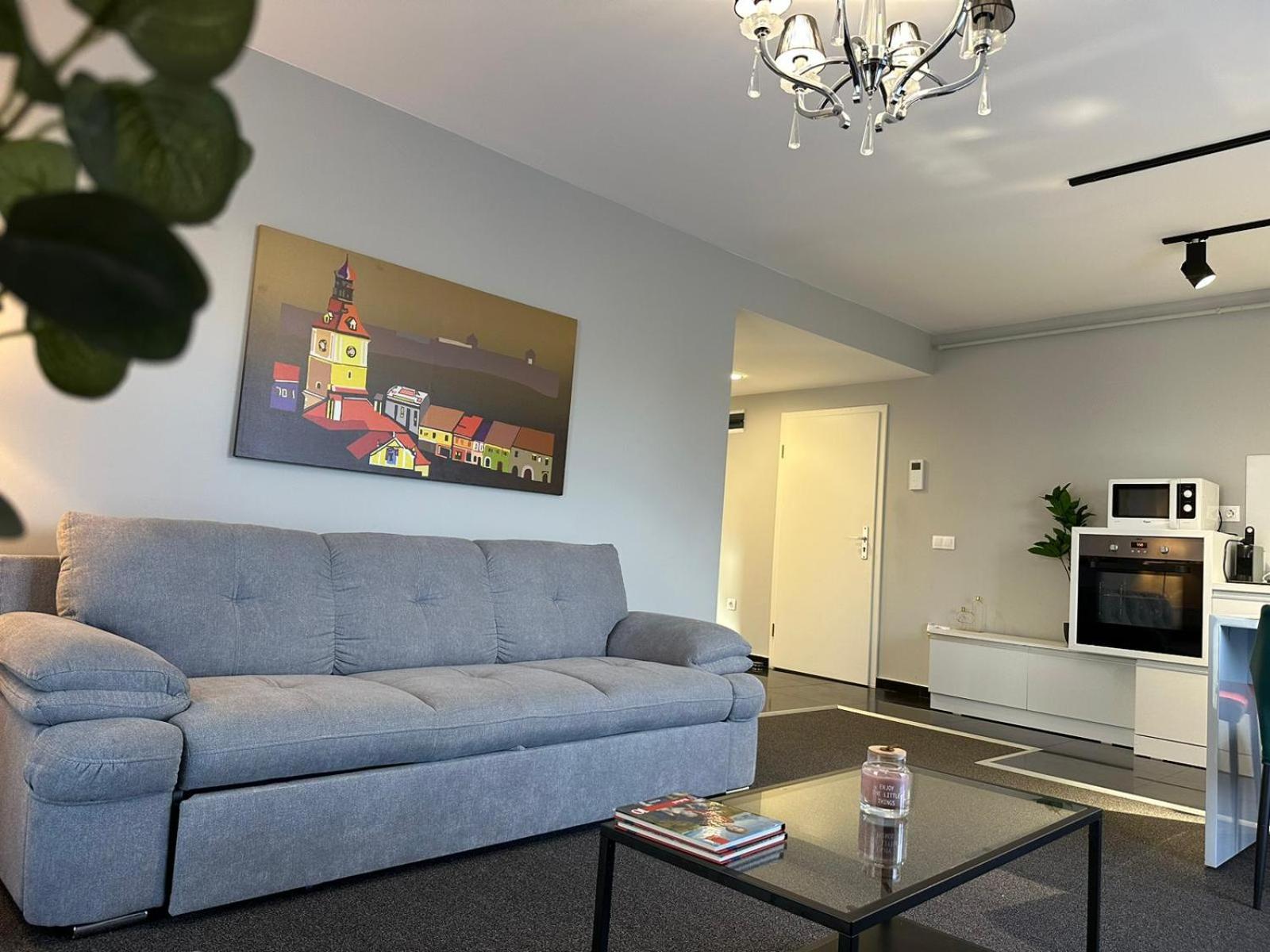 Luxury Glam Apartments & Studios Near Coresi Mall 布拉索夫 外观 照片
