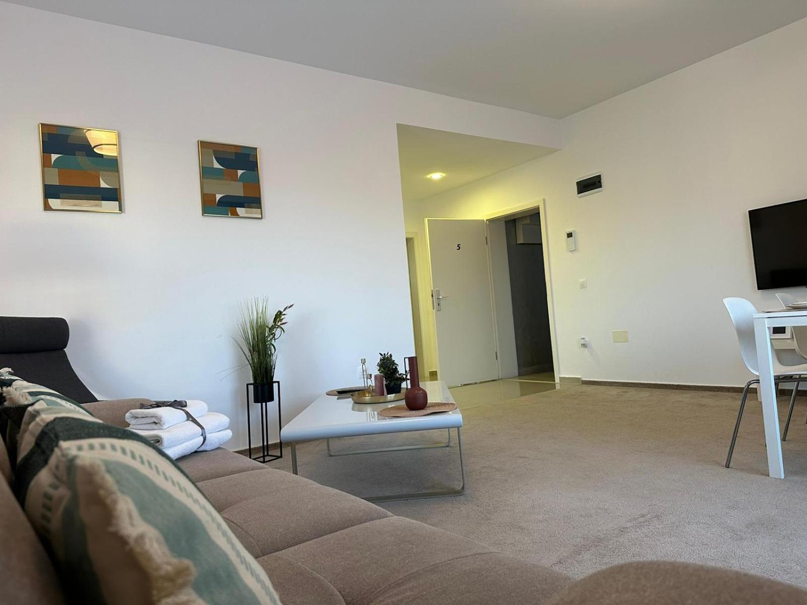 Luxury Glam Apartments & Studios Near Coresi Mall 布拉索夫 外观 照片