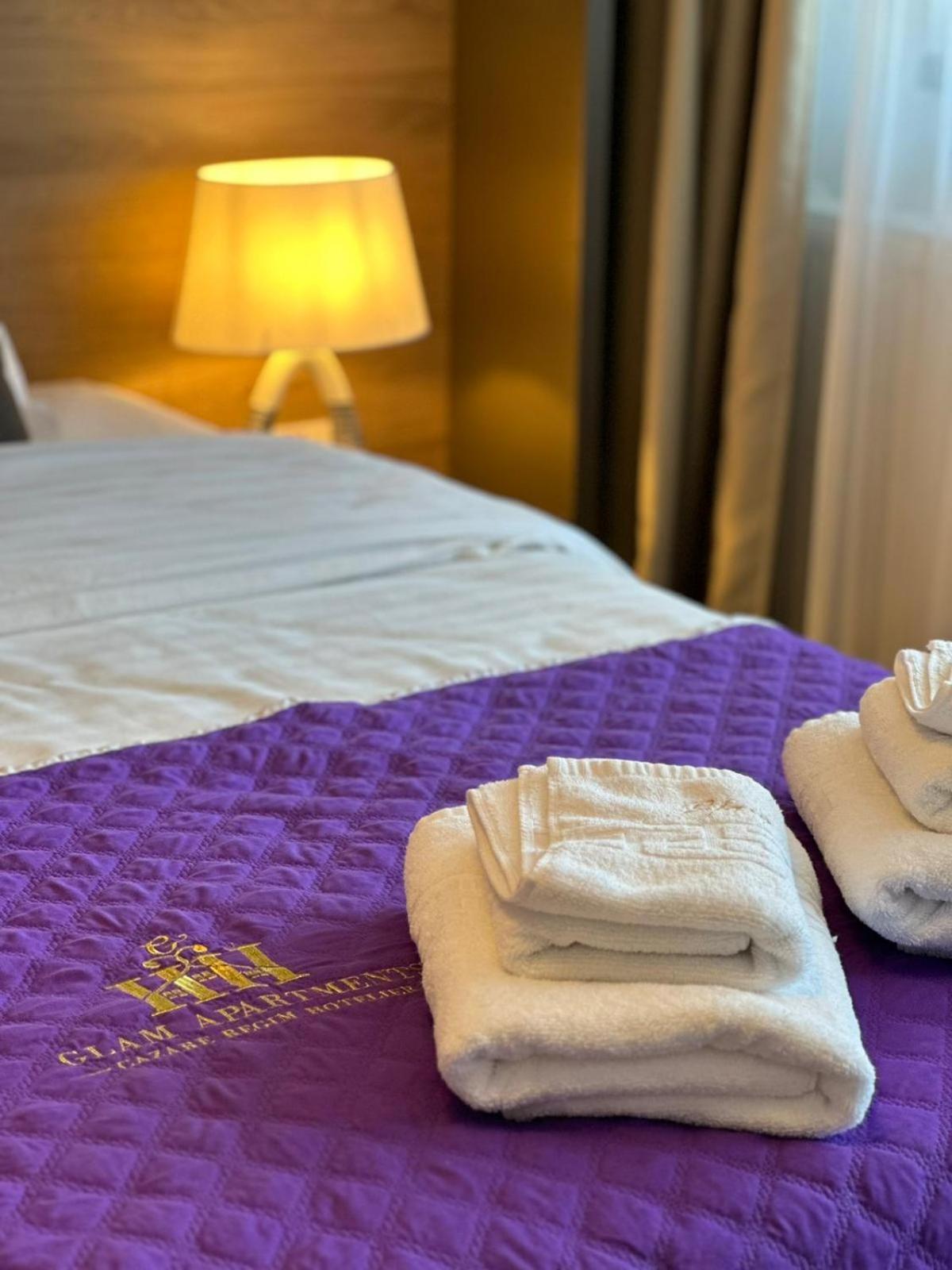 Luxury Glam Apartments & Studios Near Coresi Mall 布拉索夫 外观 照片